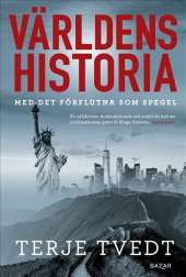 Världens historia : Med det förflutna som spegel av Terje Tvedt